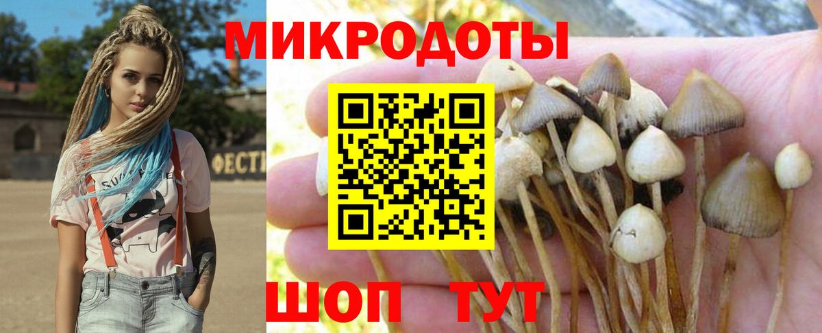 Галлюциногенные грибы мицелий  Псилоцибиновые грибы ЛСД  Вход с VPN  Шелехов 