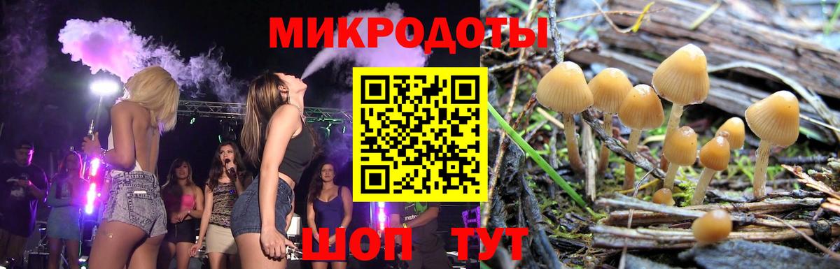 Галлюциногенные грибы ЛСД Шелехов